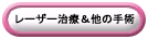 [U[Á̎p